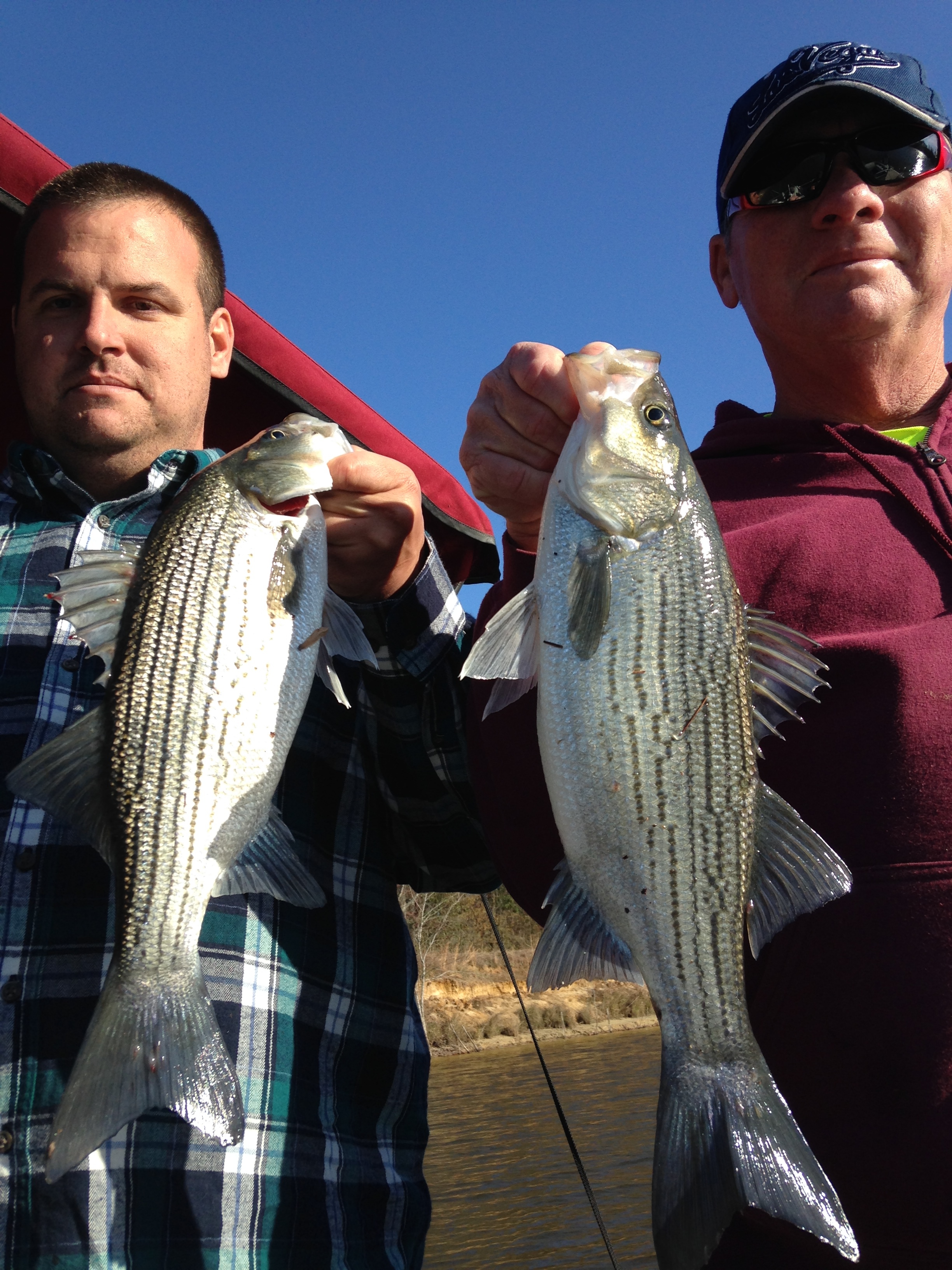 Stripers on Sweetwater Lake Eastern NC Fishing Guide