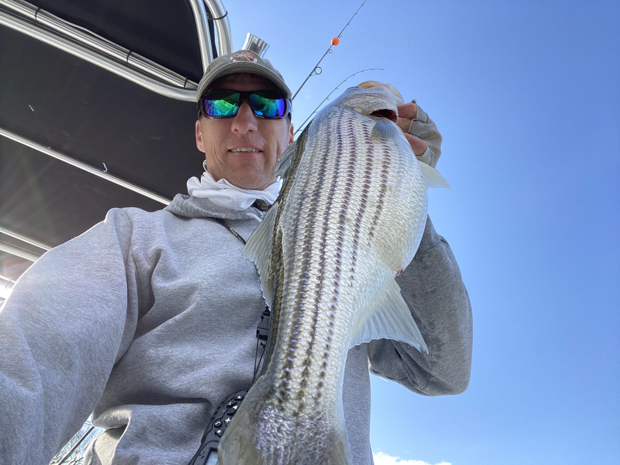 Roanoke River Rockfish Eastern NC Fishing Guide