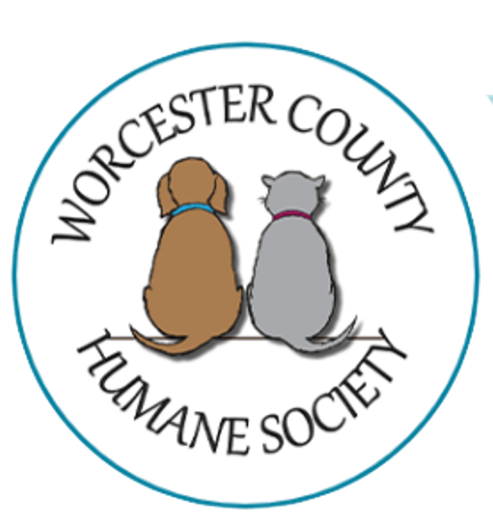 Community Resource Directory Eastern Shore Undercover