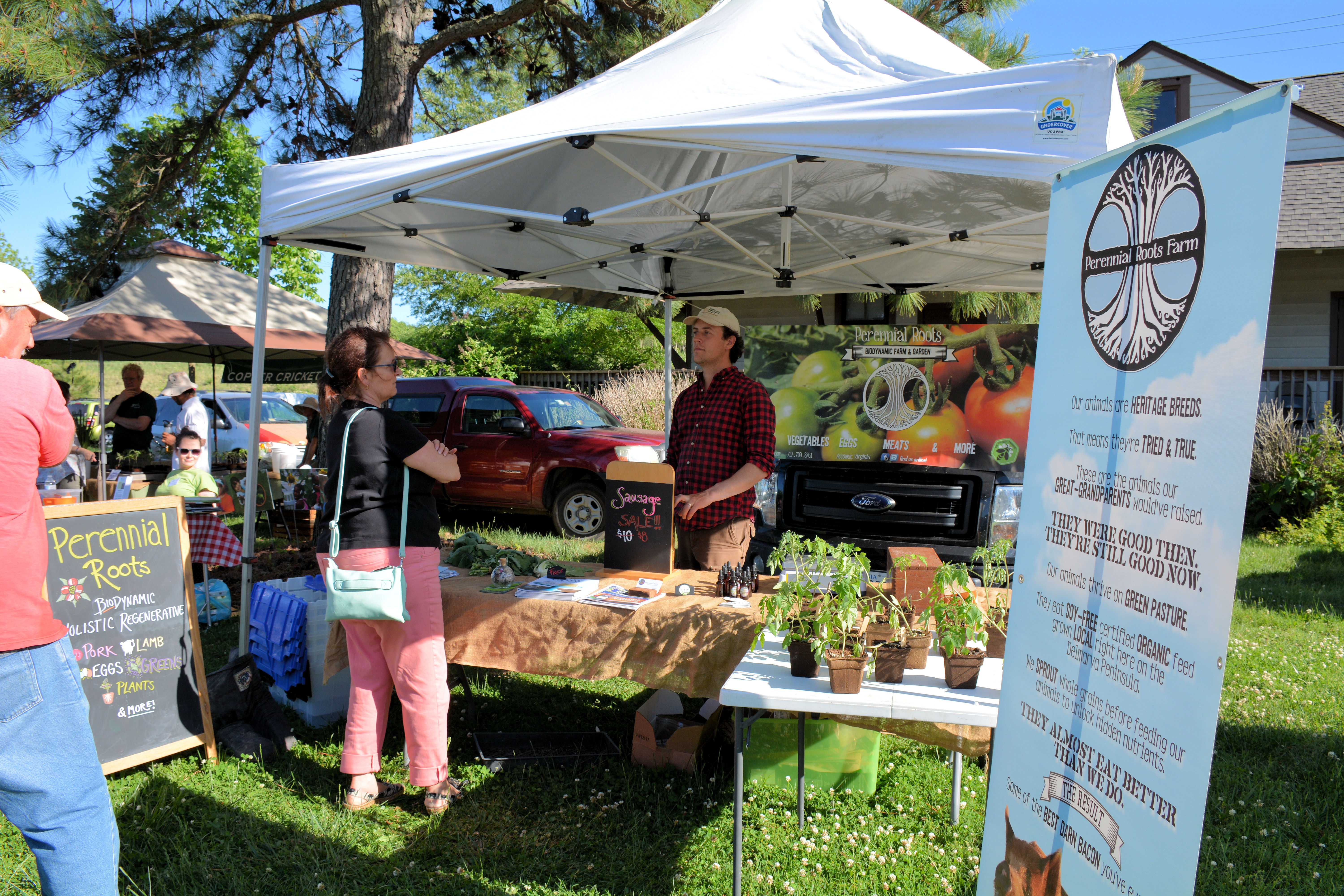 Perennial Roots « Life and Real Estate on the Eastern Shore of Virginia