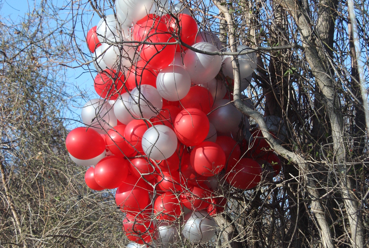Helium Balloon Ban Enacted The East Hampton Star