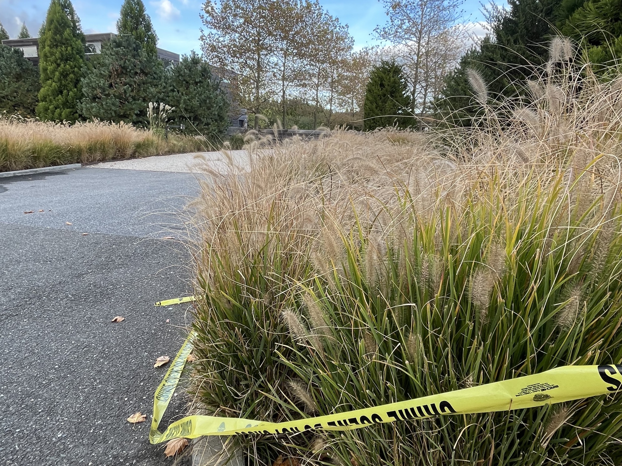 Police Investigate Murder at Water Mill Resort The East Hampton Star