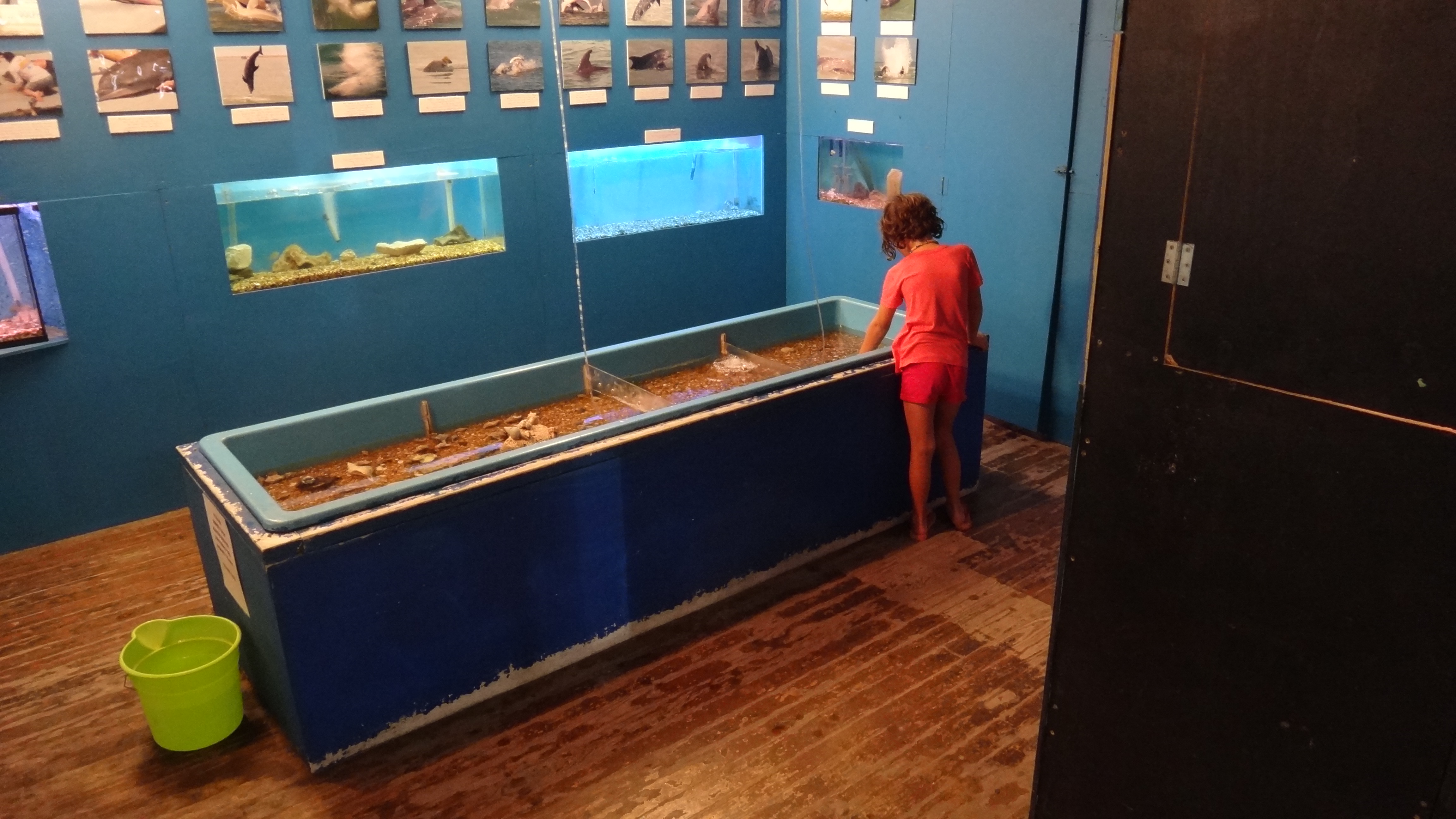 "Across the Gulf" East Side Patch