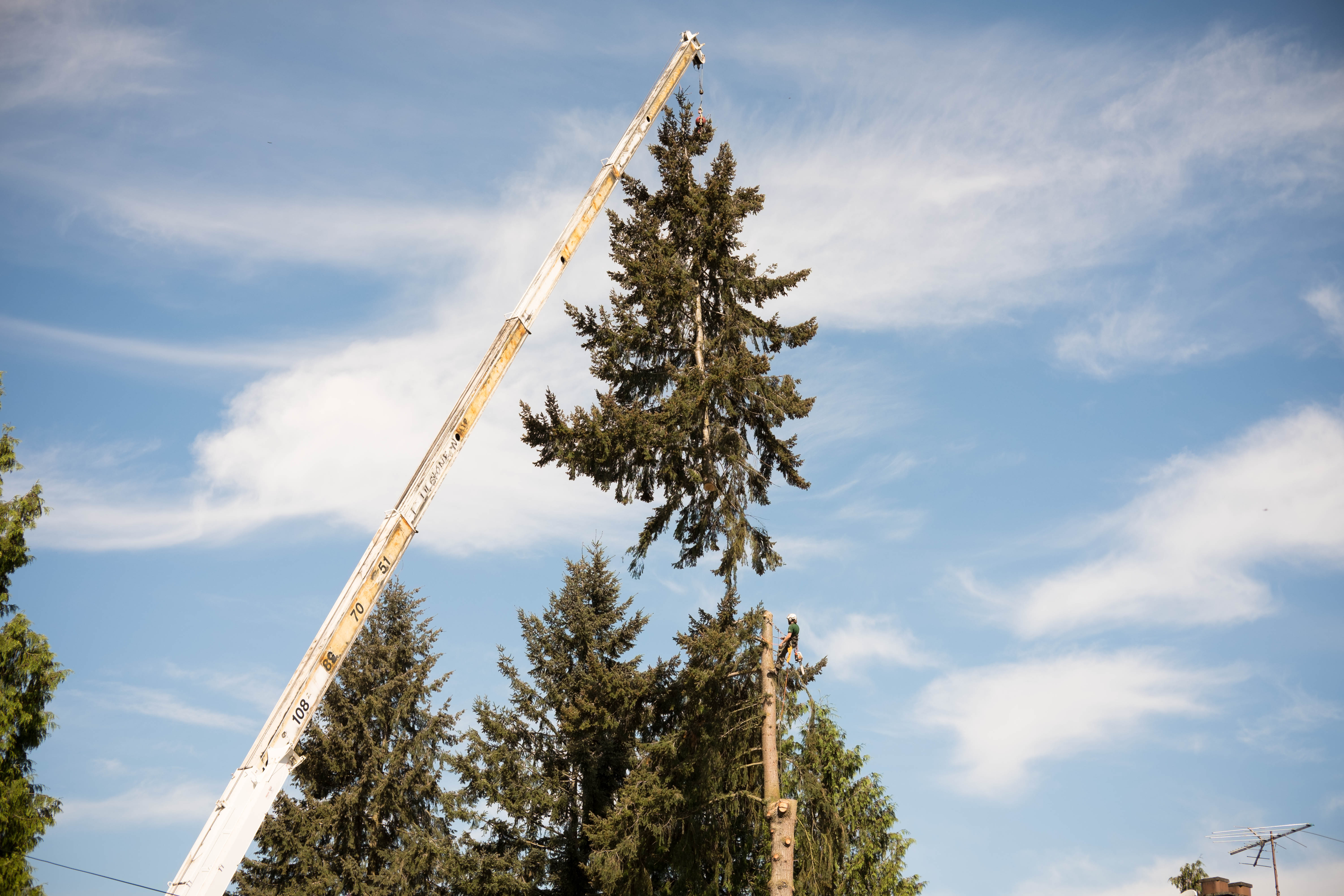 Eastside Tree Works