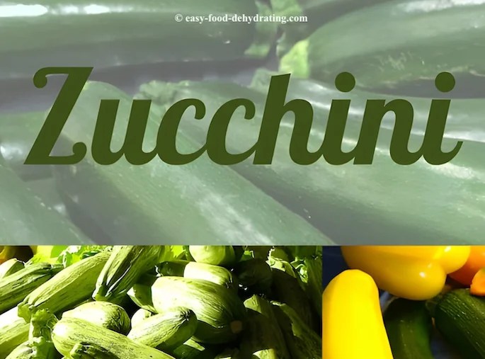 How To Dehydrate Zucchini Perfect for Fritters, Zucchini Bread