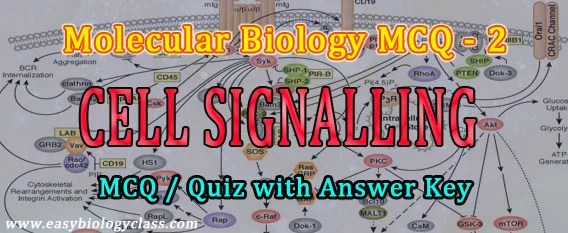 mcq question bank molecular biology