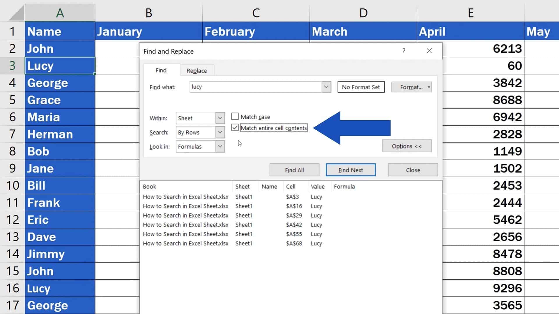 How to Search in Excel Sheet