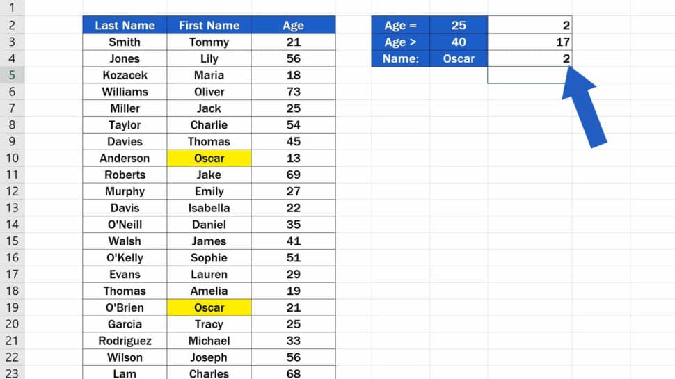 How to Use the COUNTIF Function in Excel