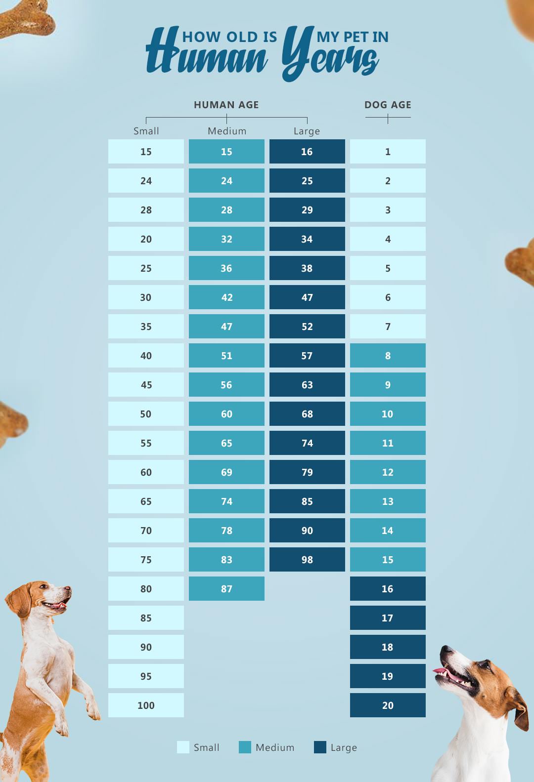 Find out your dog age! (when to Spay & Breed) EasyDNA UK