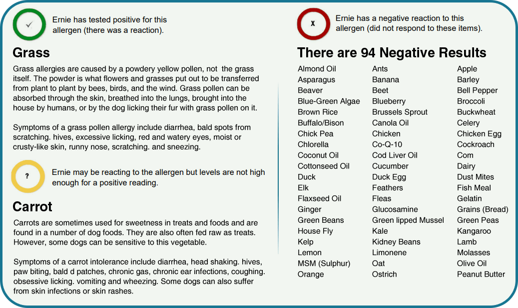 Test allergologico per cani a soli €95 Migliora la salute del tuo