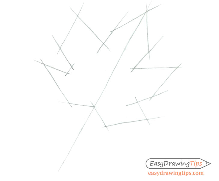 How to Draw a Maple Leaf in 3 Steps EasyDrawingTips