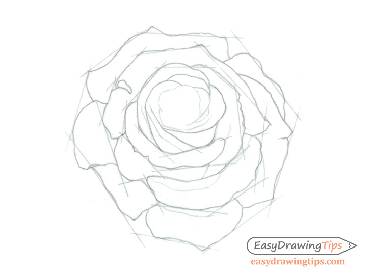 How To Draw A Realistic Rose Step By Step For Beginners / How to draw a