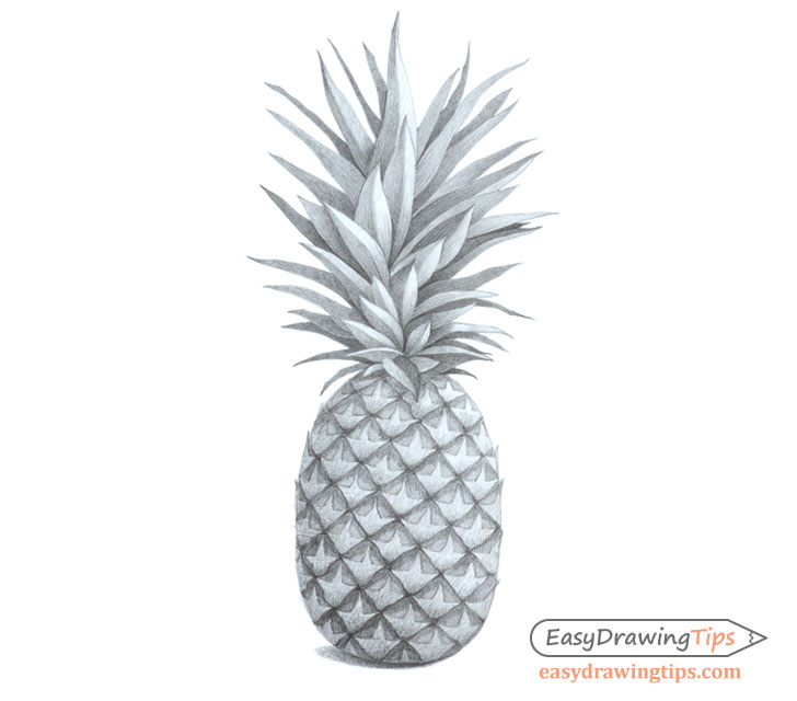 Easy Drawings Tumblr Pineapple Easy Drawings Tumblr Dinan Guried