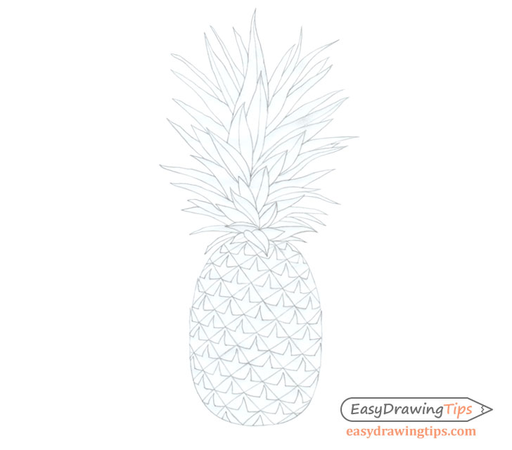 How to Draw a Realistic Pineapple Step by Step EasyDrawingTips