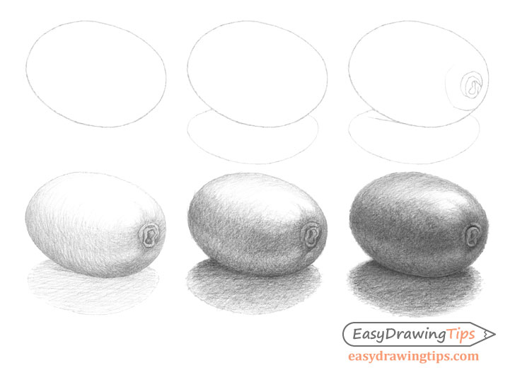 How to Draw a Kiwi Step by Step EasyDrawingTips