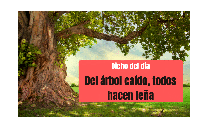 Saying of the day Del Ã¡rbol caÃ­do, todos hacen leÃ±a Easy EspaÃ±ol