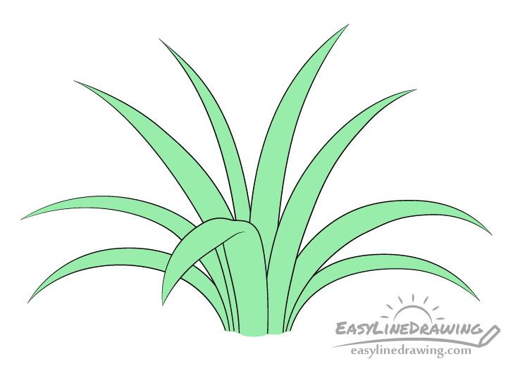 How to Draw Grass Step by Step EasyLineDrawing