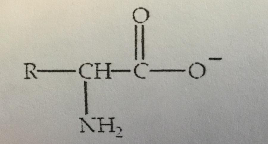Amino Acids: Quiz & Flashcards Apps on Google Play