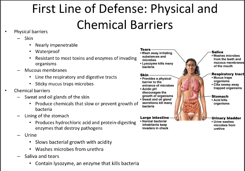 Print USC FNP bridge course module 8 flashcards Easy Notecards