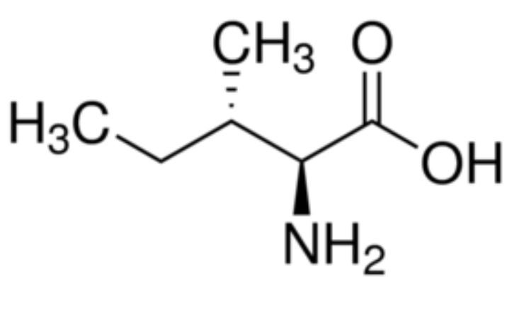Amino Acids Flashcards and Quizzes Brainscape