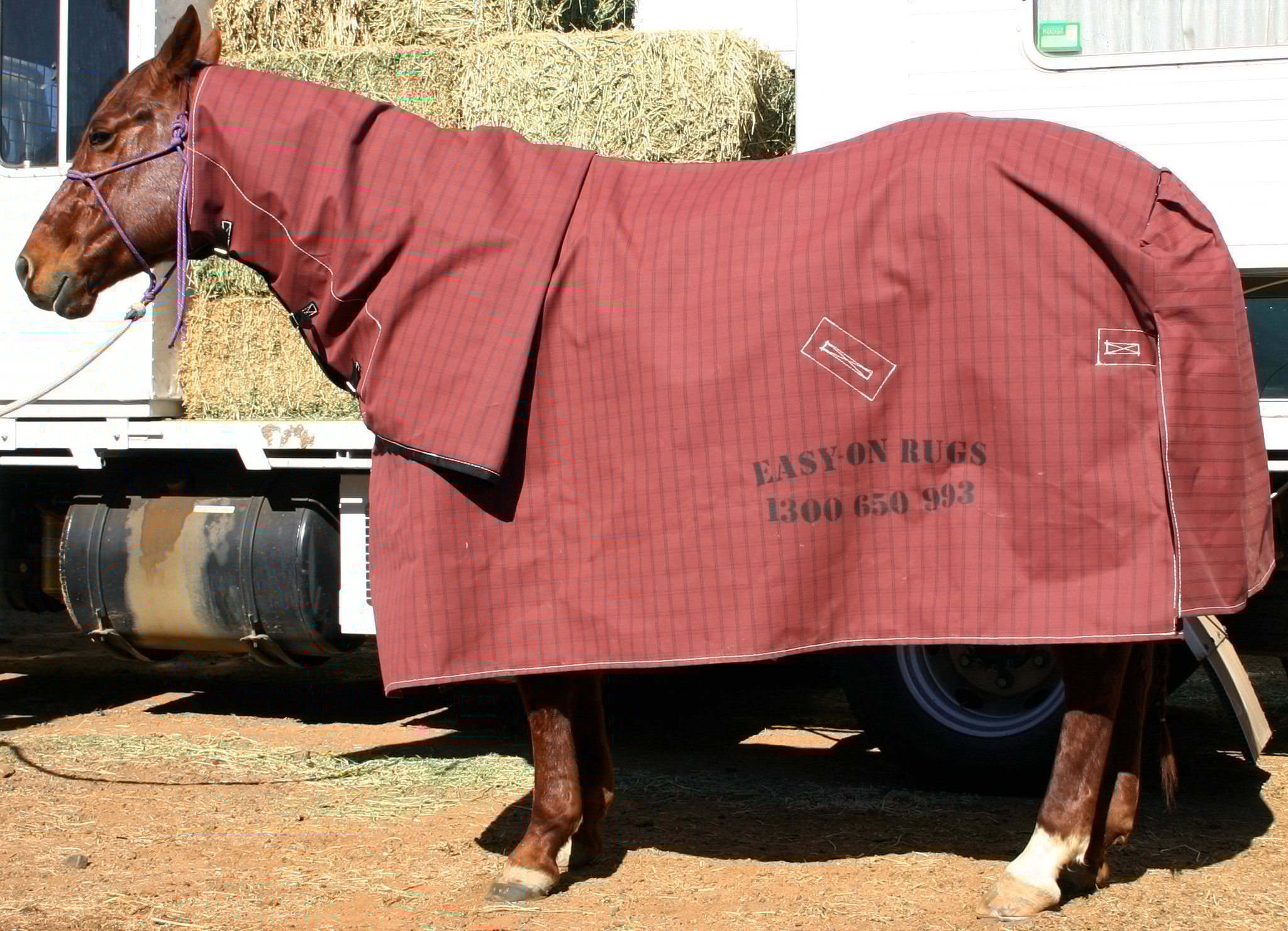 Canvas Combo lined Easy on Rugs