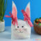 Paper Bag Bunny - Easy Peasy and Fun