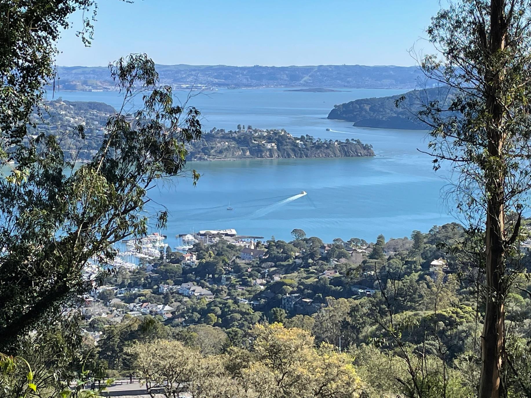 Marin County Real Estate Market Forecast Easy Total Home