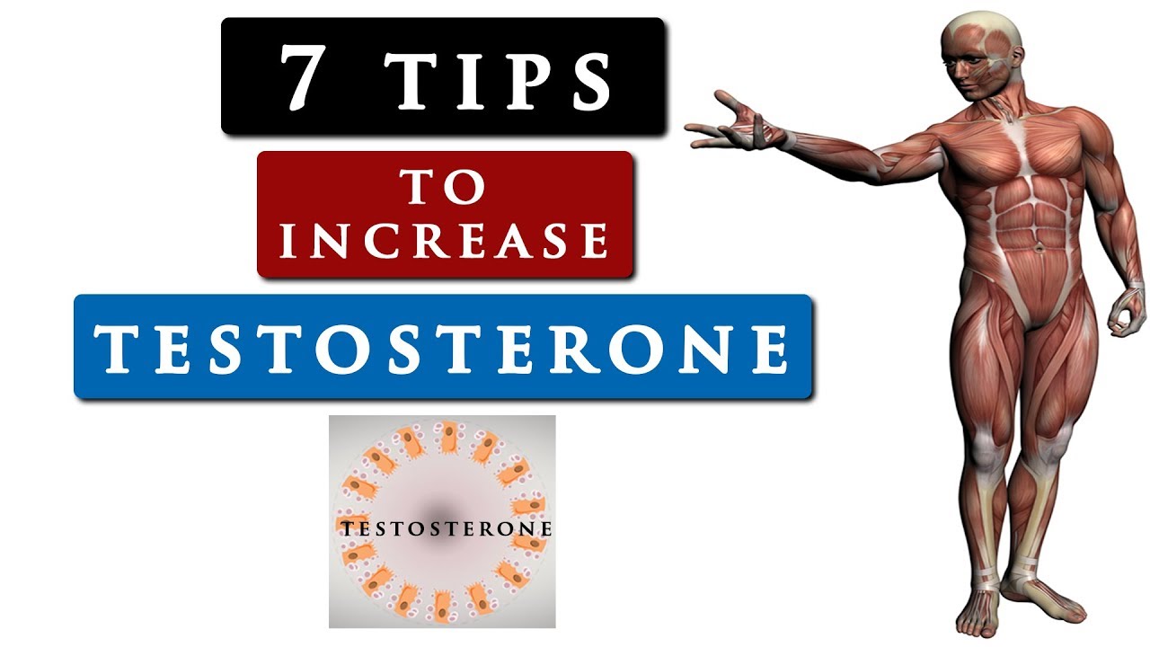 How To Increase Testosterone Fast And Natural
