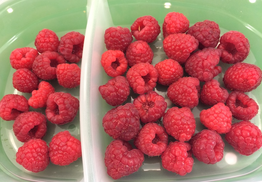 Best Way to Store Raspberries