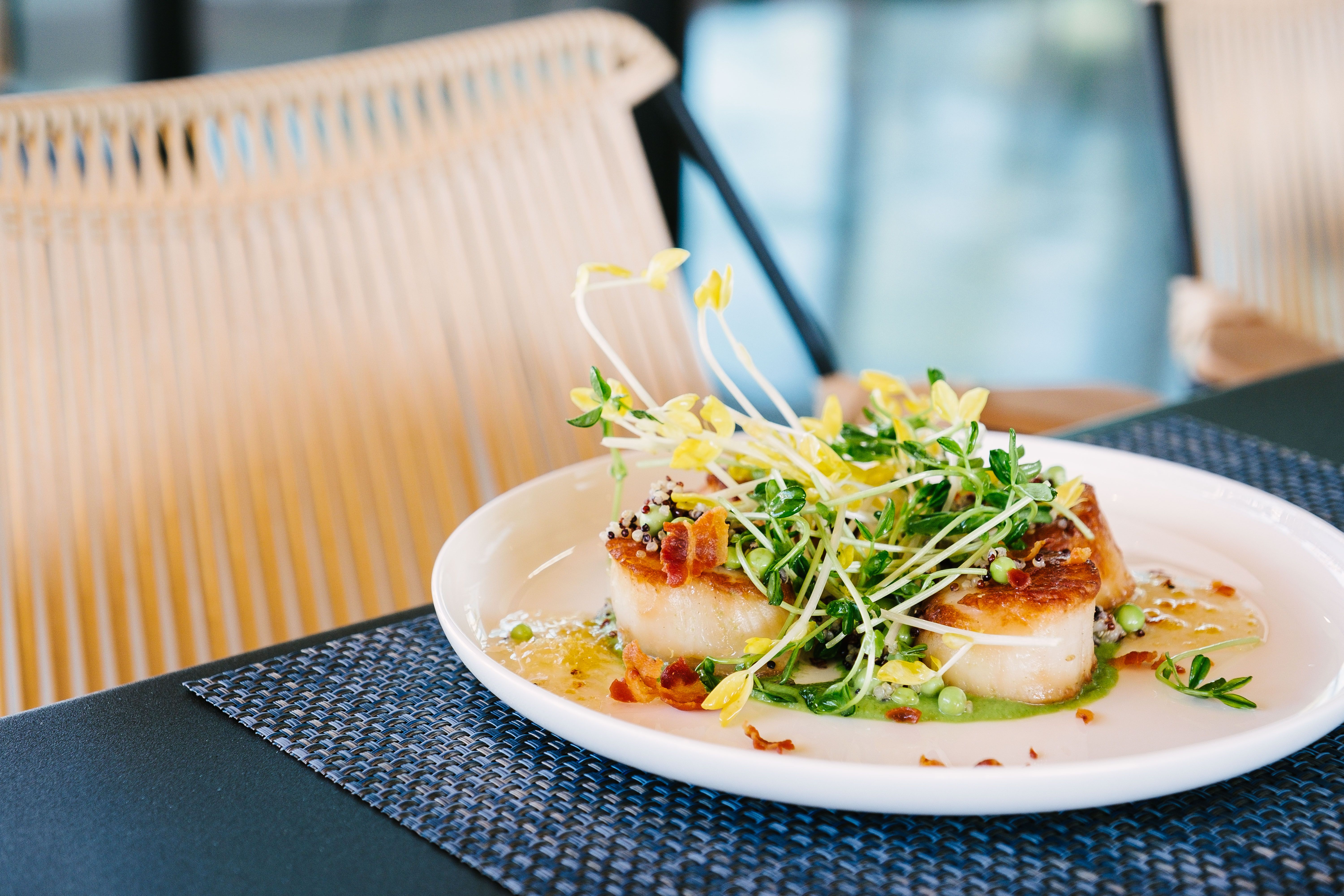 ARLO Debuts in Mission Valley Eat, Drink, Be San Diego