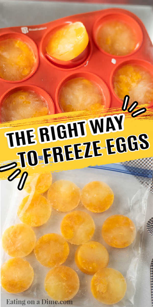 How to freeze eggs learn how to freeze eggs perfectly