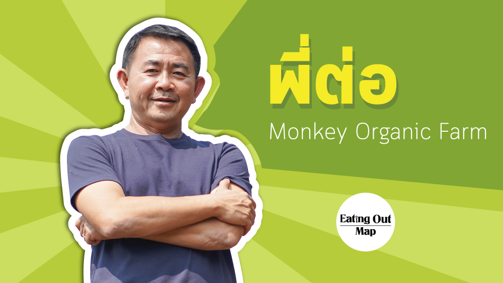 จาก Monkey Club สู่ Monkey Farm Organic ฟาร์มผักออร์แกนิคแท้