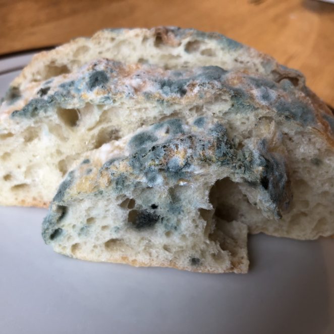 Can you eat moldy bread?