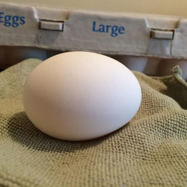 I to put my eggs in the fridge...can I still eat them?