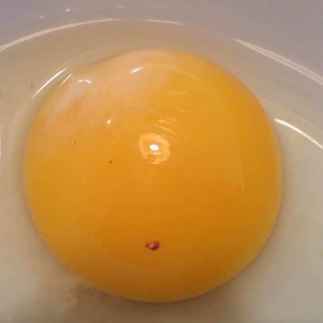 Is that blood in my egg?