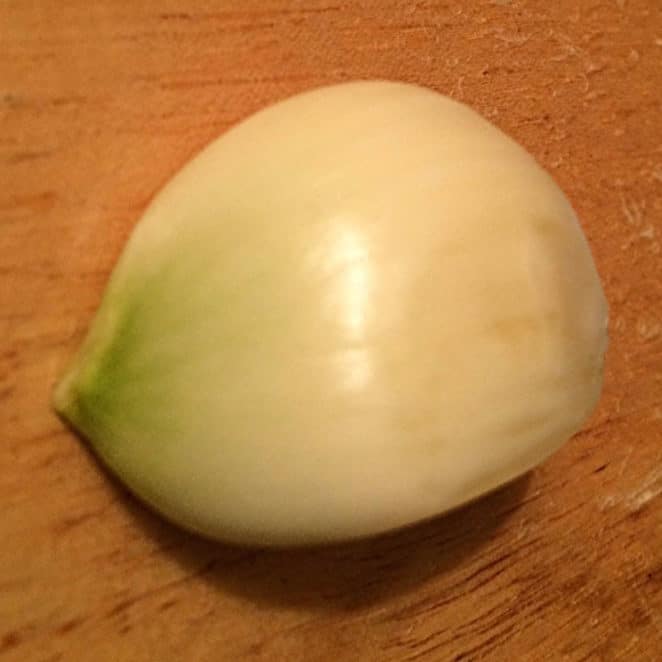 Garlic clove turning green?