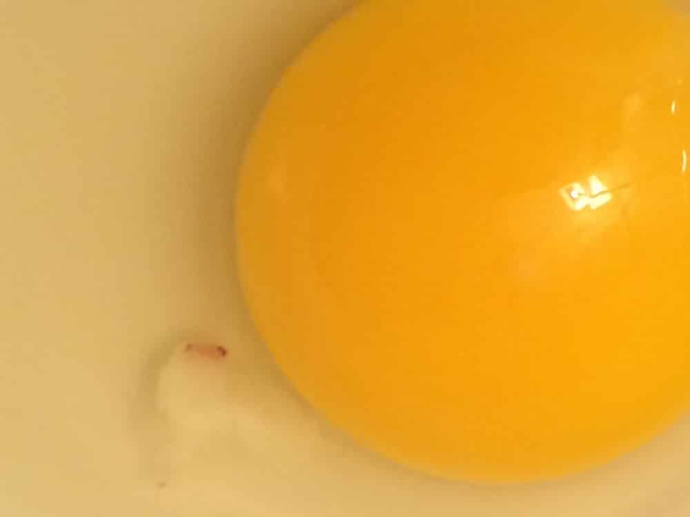 What's up with brownish specks in eggs?