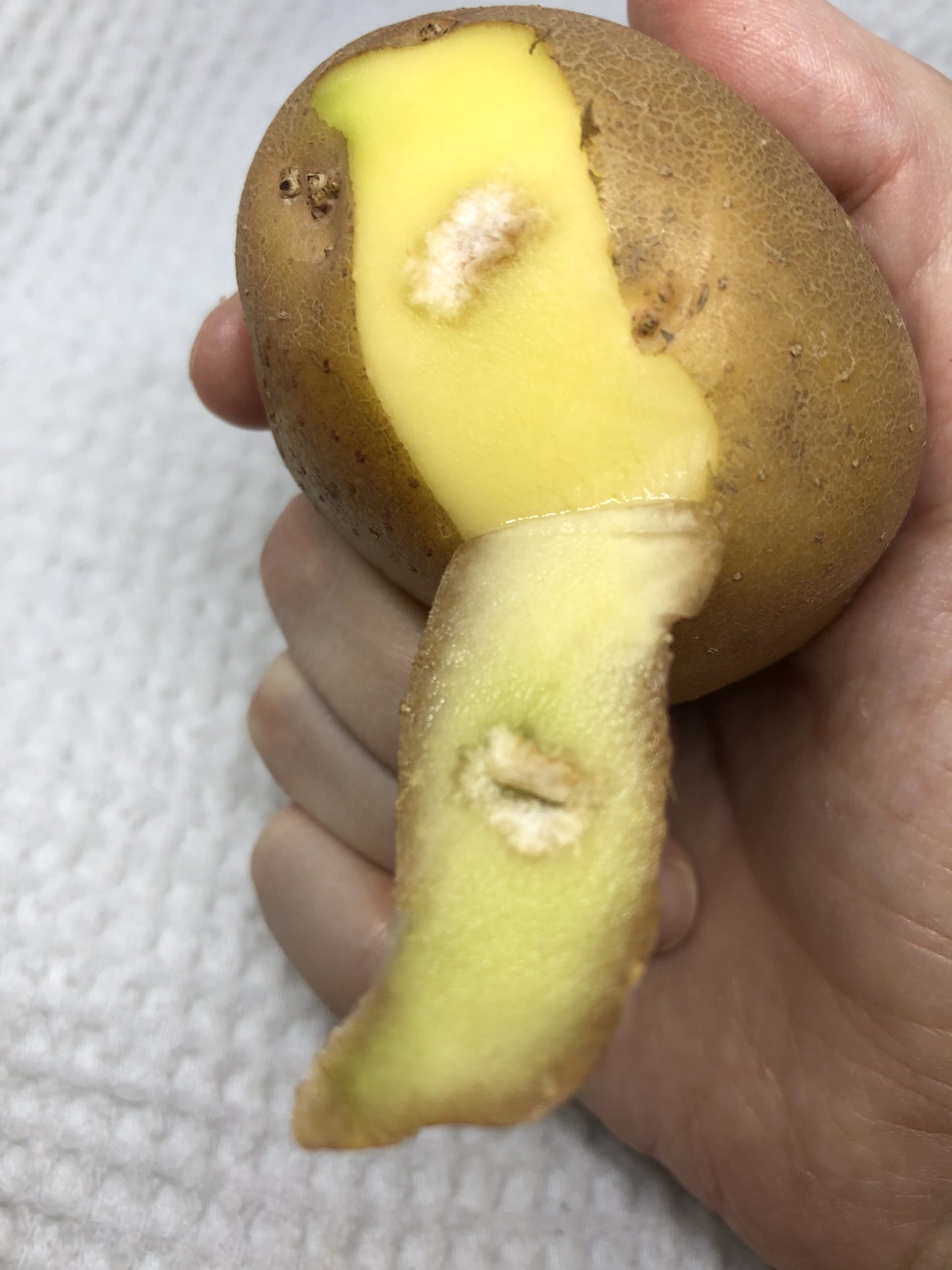 White area under potato peel
