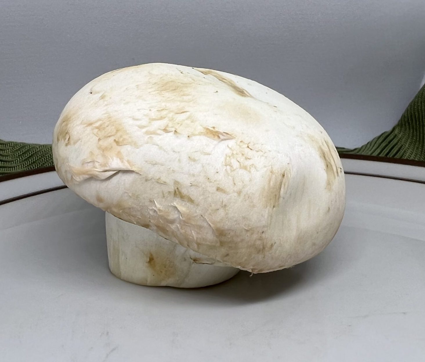 Dark spots or discoloration on mushrooms