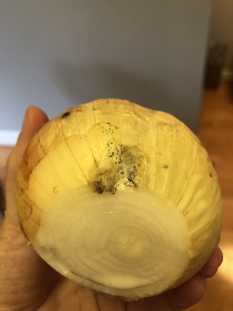Yes, the black, sooty stuff on onions is mold but don't panic