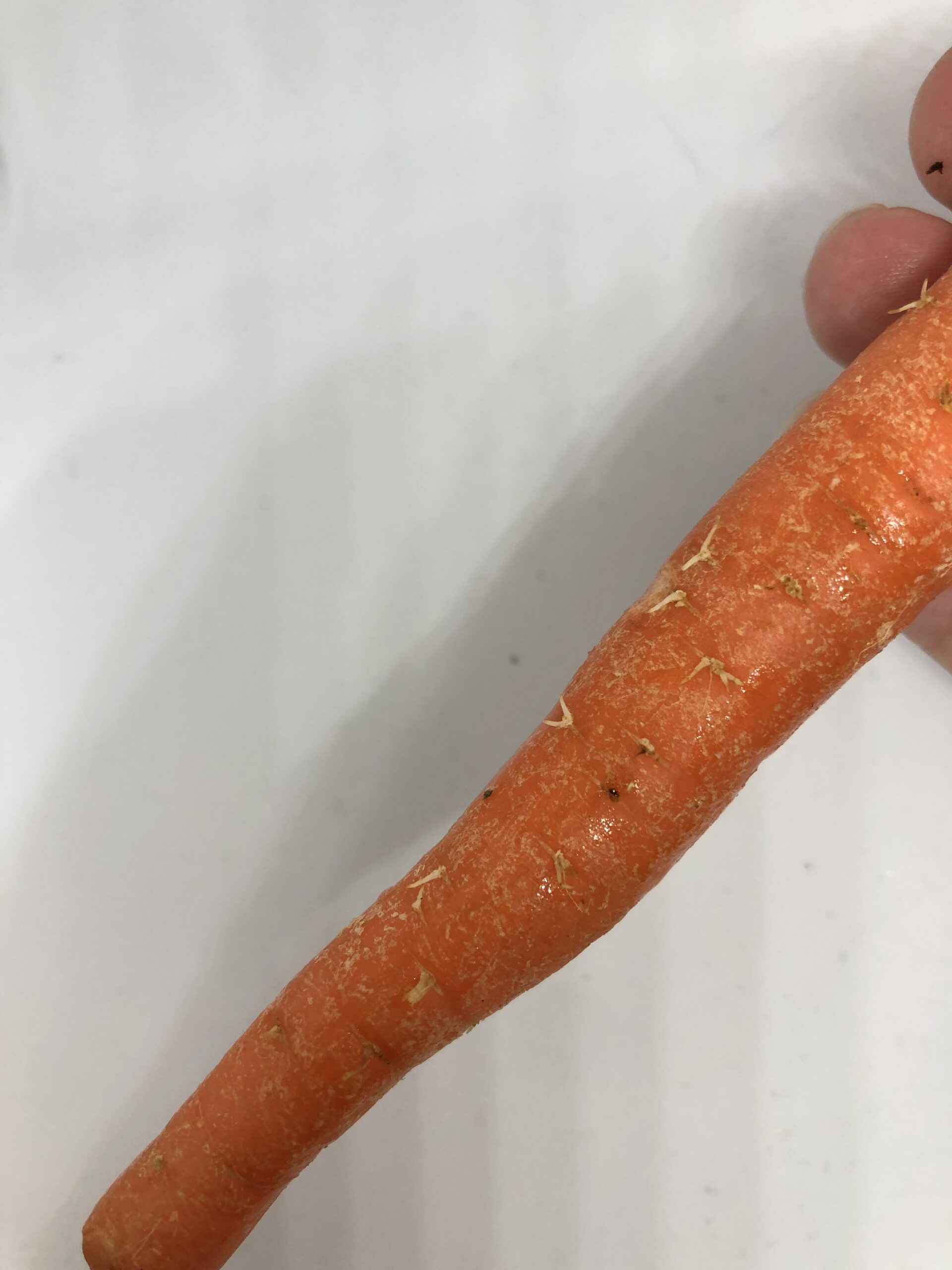 Are hairy carrots OK to eat?