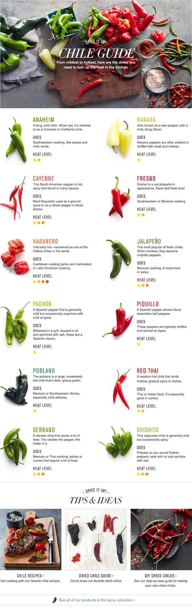 Your Best Guide To Using Chile When You Cook — Eatwell101