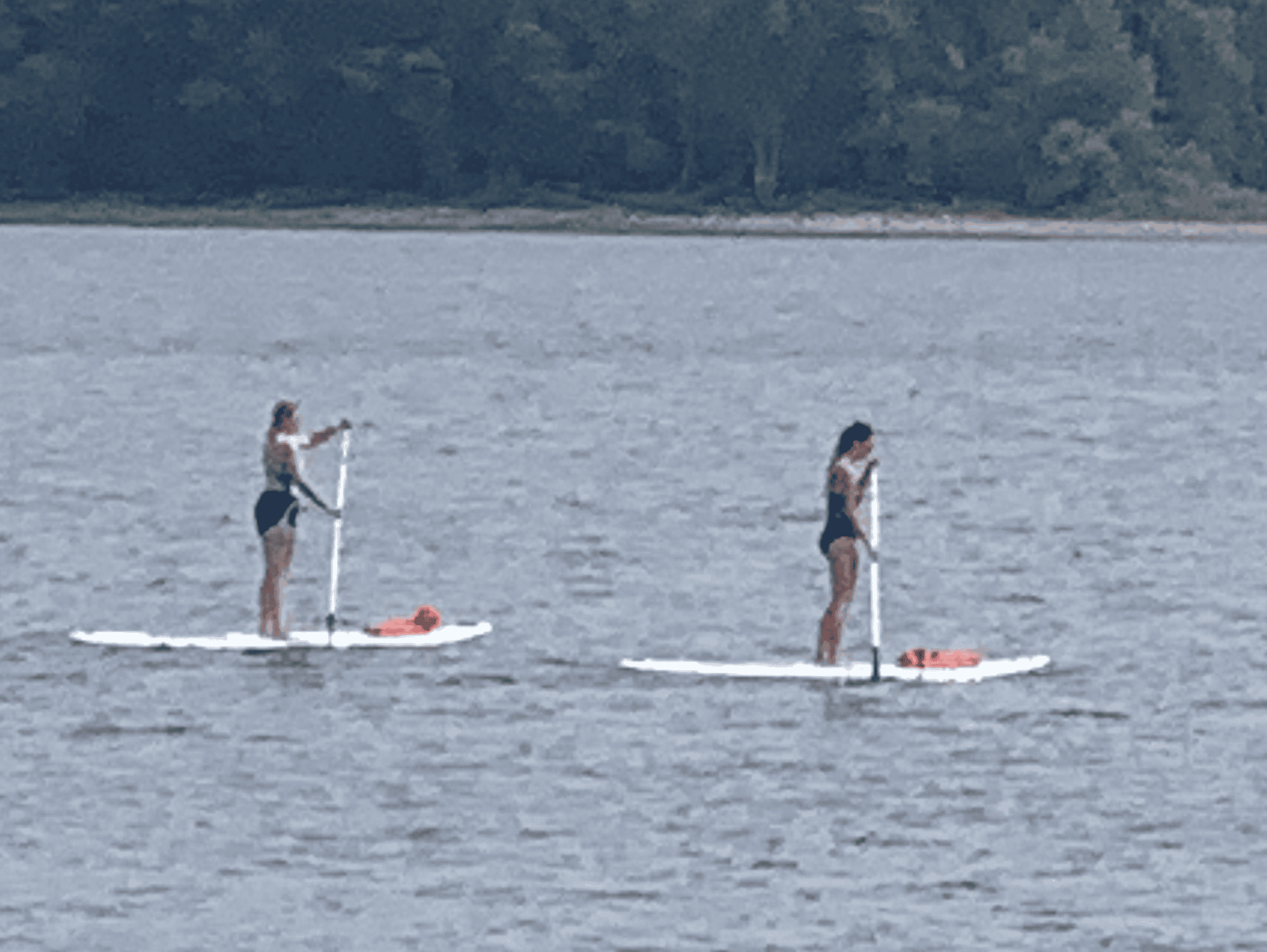 Lake Fun Eau Galle Lakeside Retreat