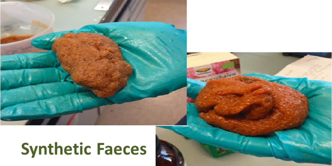 Physical disintegration of faeces in sewers Eawag