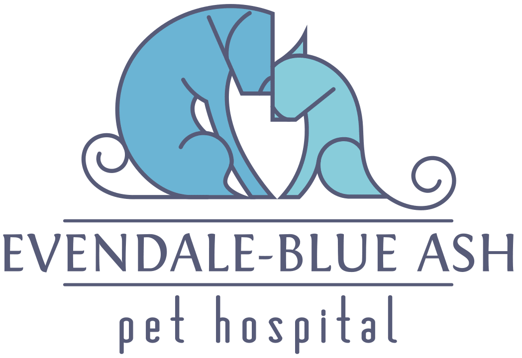 Wellness Plans EvendaleBlue Ash Pet Hospital