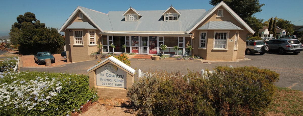 Country Animal Clinic EberVet Petcare Group