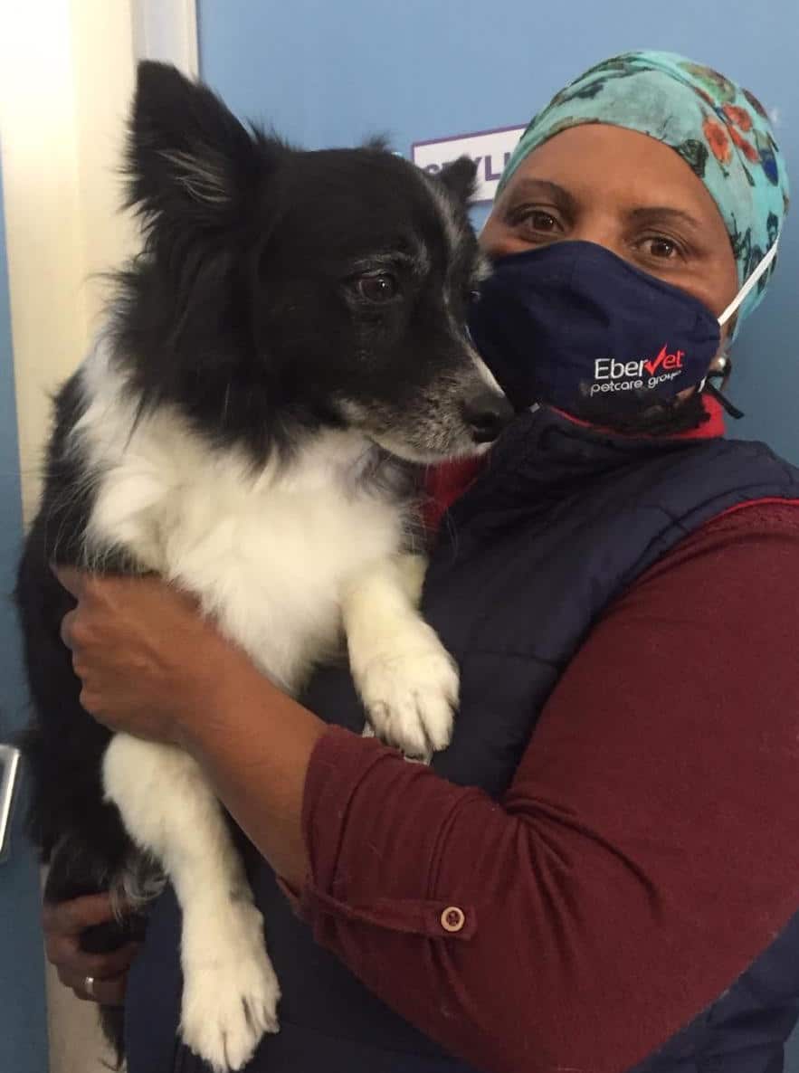 Pet groomers reach for the stars EberVet Petcare Group