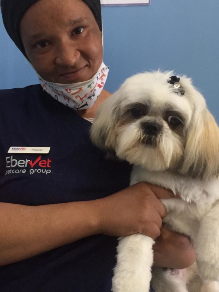 Pet groomers reach for the stars EberVet Petcare Group