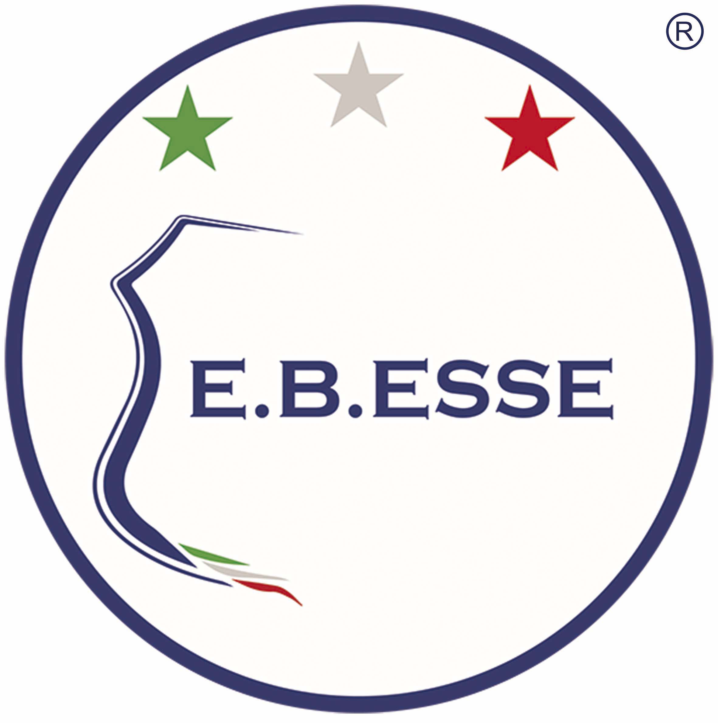 Agenzia Di Sicurezza | E.b.esse Servizi Di Sicurezza 2378_x_2362_jpg