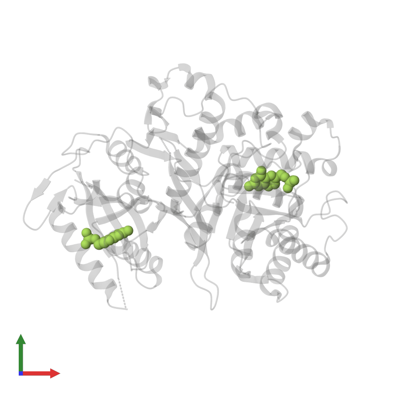 PDB 2bmb gallery ‹ Protein Data Bank in Europe (PDBe) ‹ EMBLEBI